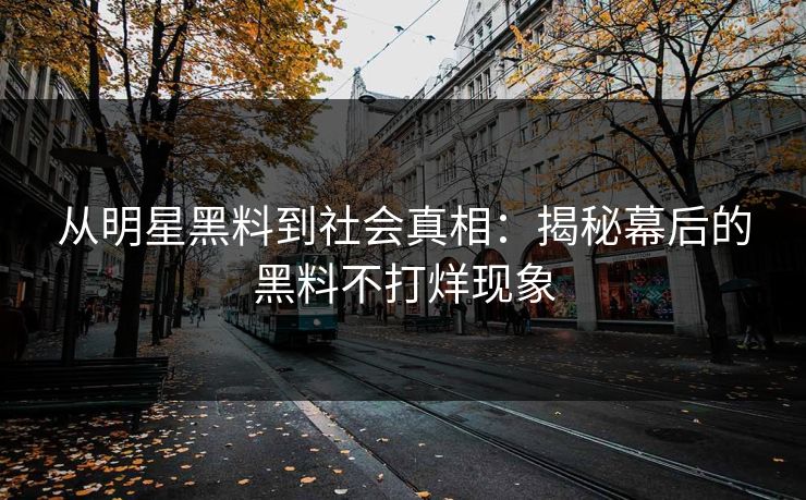 从明星黑料到社会真相：揭秘幕后的黑料不打烊现象