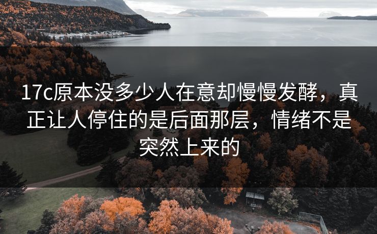 17c原本没多少人在意却慢慢发酵，真正让人停住的是后面那层，情绪不是突然上来的
